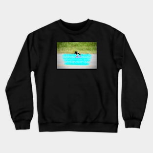 Magpie on the road / Swiss Artwork Photography Crewneck Sweatshirt